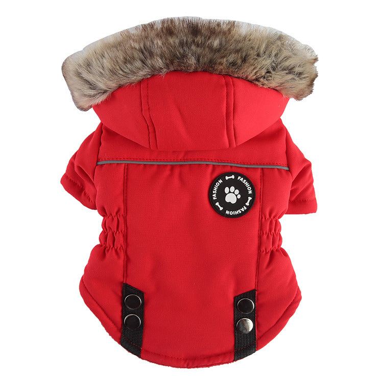 ArcticVelvet™ Winter Jacket – Giubbotto Imbottito Pet