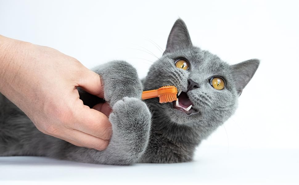 SilkSmile™ 360° – Spazzola Dentale in Silicone per Cani e Gatti